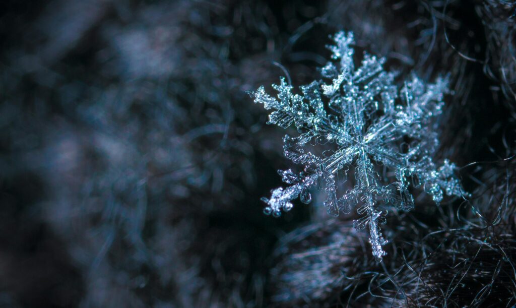 Boots for the Winter Intricate close-up of a snowflake showcasing its frosty crystalline structure in a winter setting.